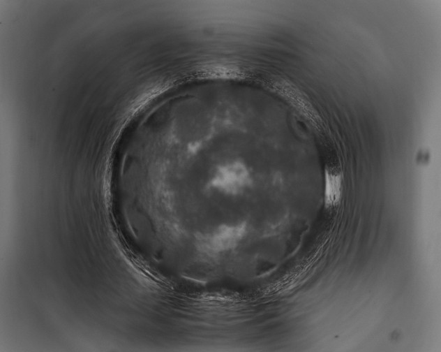 X0000100860627200806201218