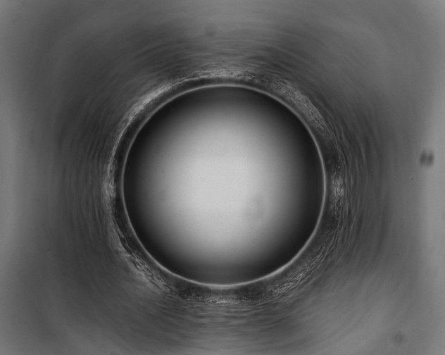 X0000100860628200806201218