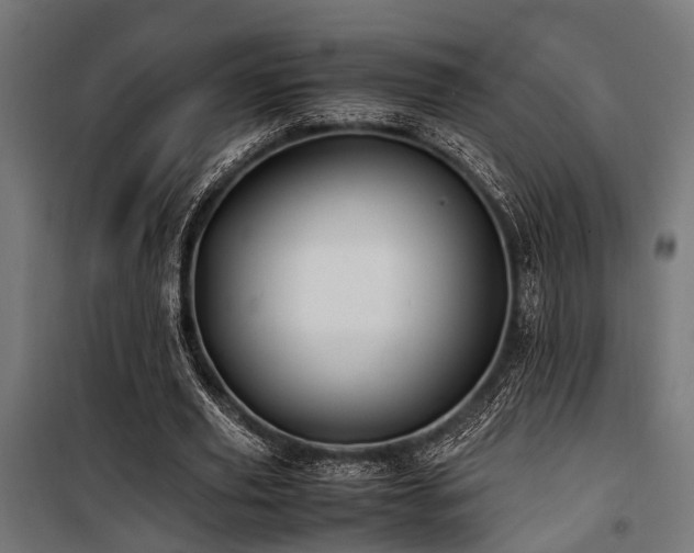 X0000100860629200806201218