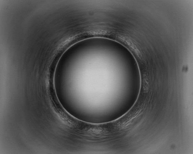 X0000100860631200806201218