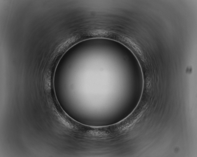 X0000100860633200806201218