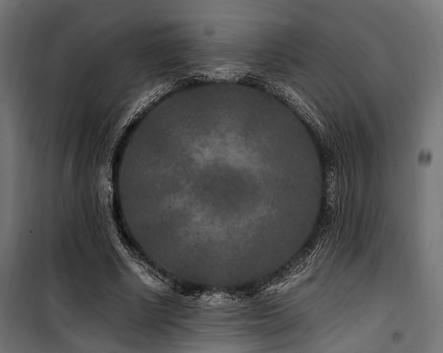 X0000100860634200806201218