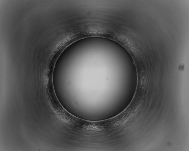 X0000100860635200806201218