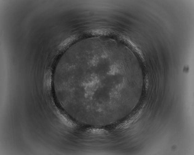 X0000100860637200806201218