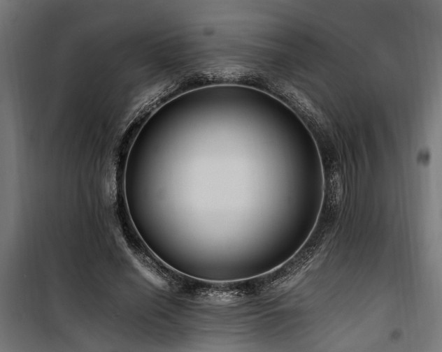 X0000100860638200806201218