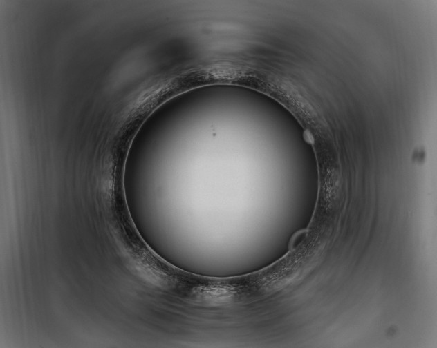 X0000100860639200806201218