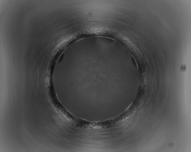 X0000100860640200806201218