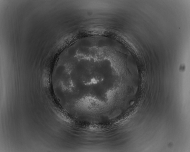 X0000100860641200806201218