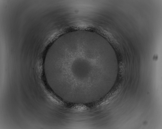 X0000100860642200806201218