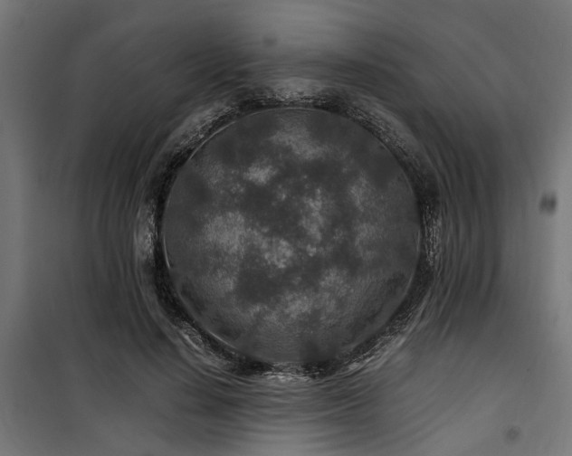 X0000100860644200806201218