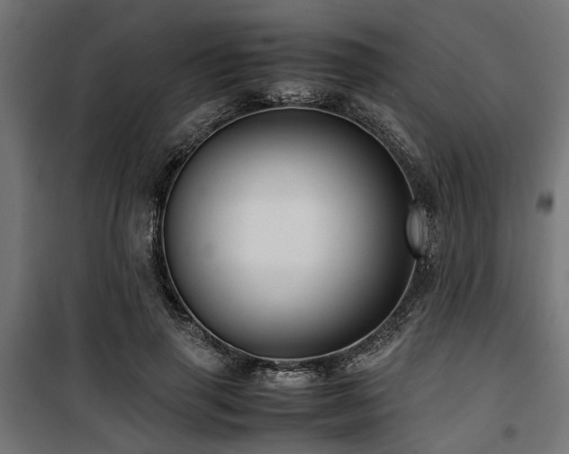 X0000100860645200806201218