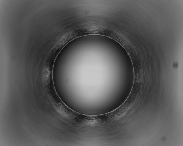 X0000100860646200806201218