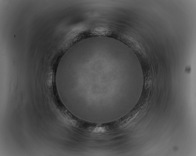 X0000100860647200806201218