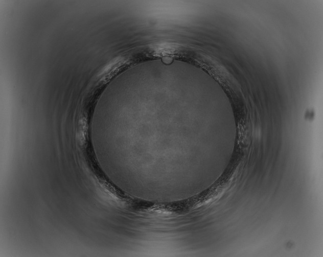 X0000100860648200806201218