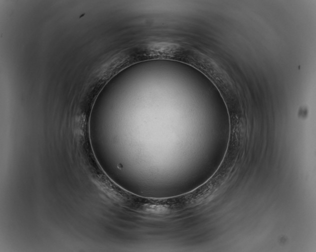 X0000100860649200806201218