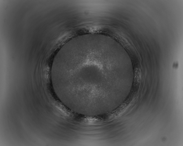 X0000100860650200806201218