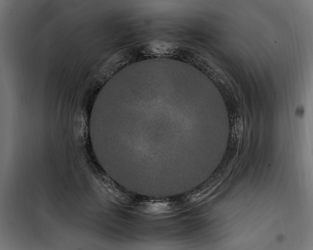 X0000100860651200806201218