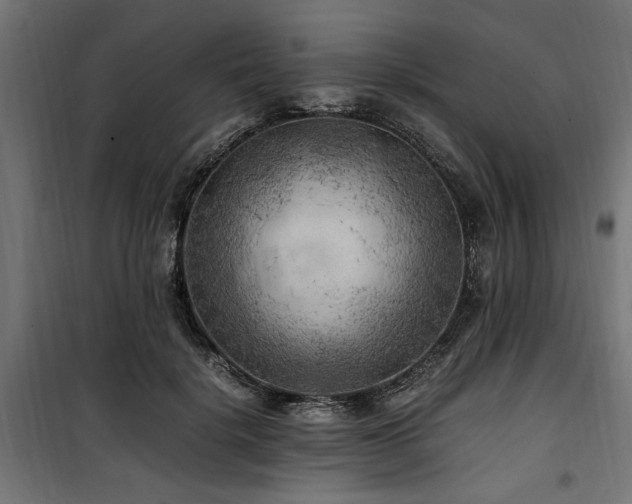 X0000100860652200806201218