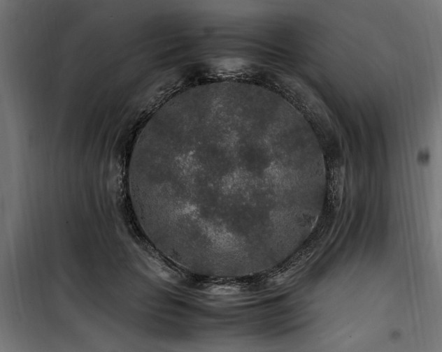 X0000100860653200806201218