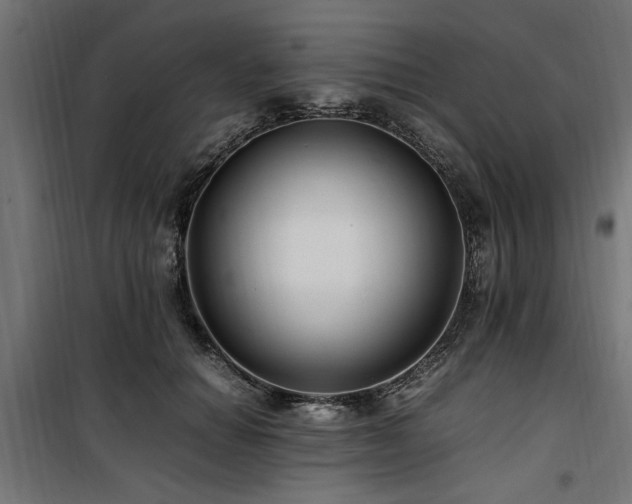 X0000100860654200806201218