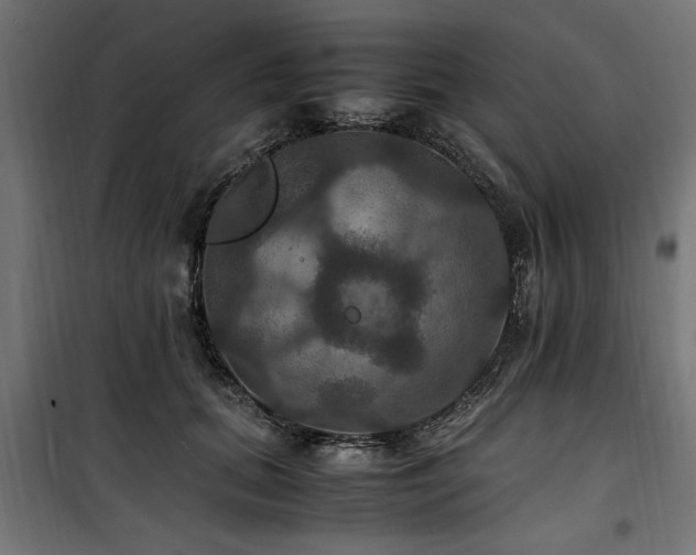 X0000100860655200806201218