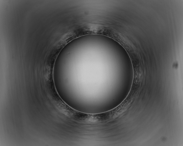 X0000100860656200806201218