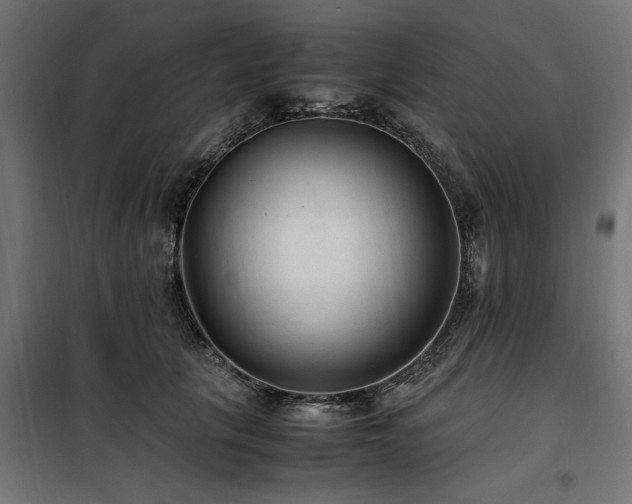 X0000100860657200806201218