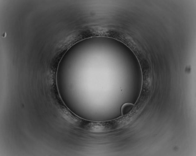 X0000100860658200806201218