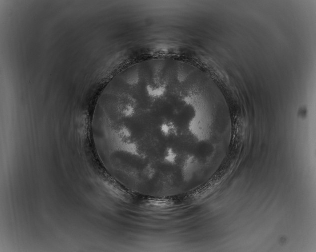 X0000100860659200806201218