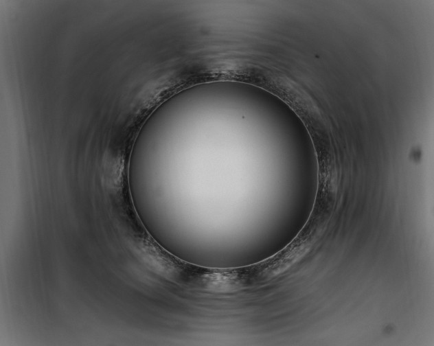 X0000100860660200806201218