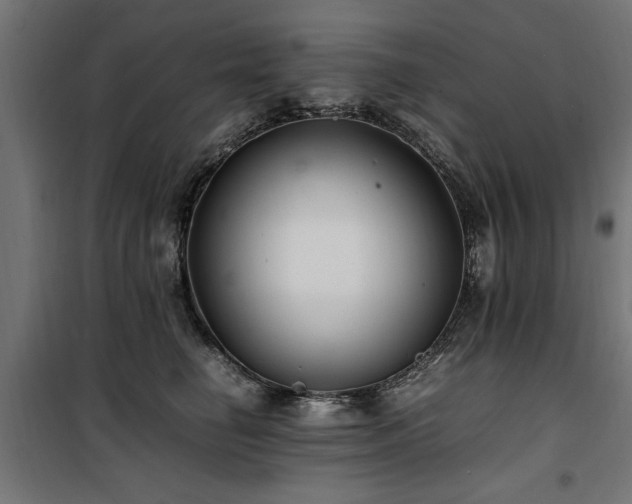 X0000100860662200806201218