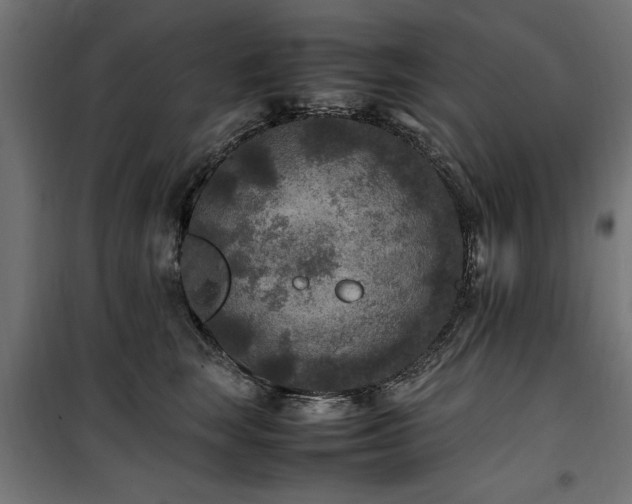 X0000100860663200806201218