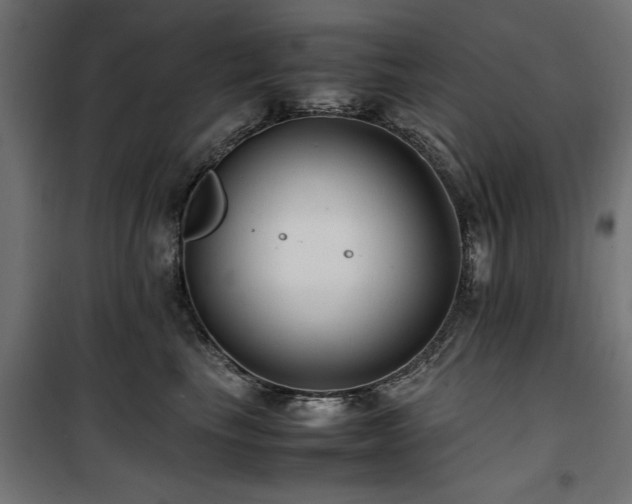 X0000100860665200806201218