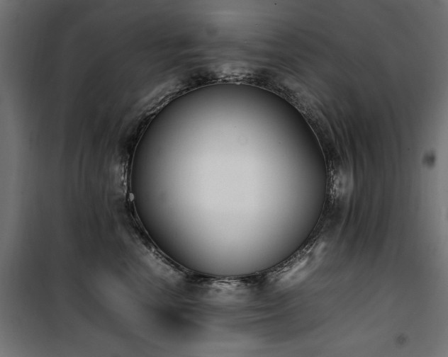 X0000100860666200806201218