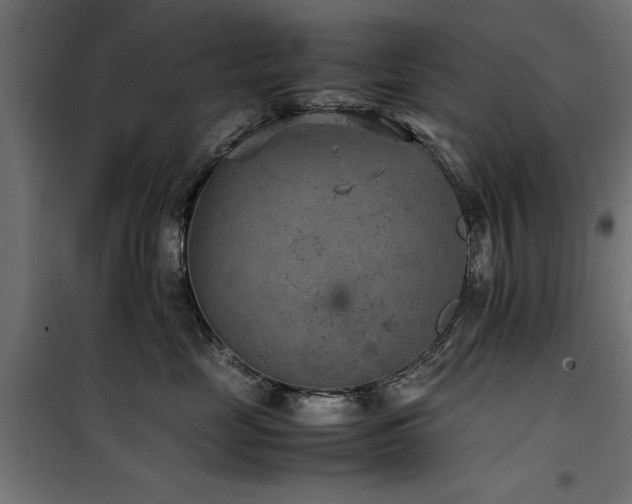 X0000100860669200806201218