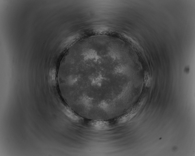 X0000100860670200806201218