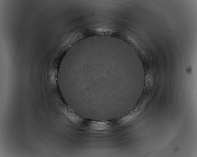 X0000100860671200806201218