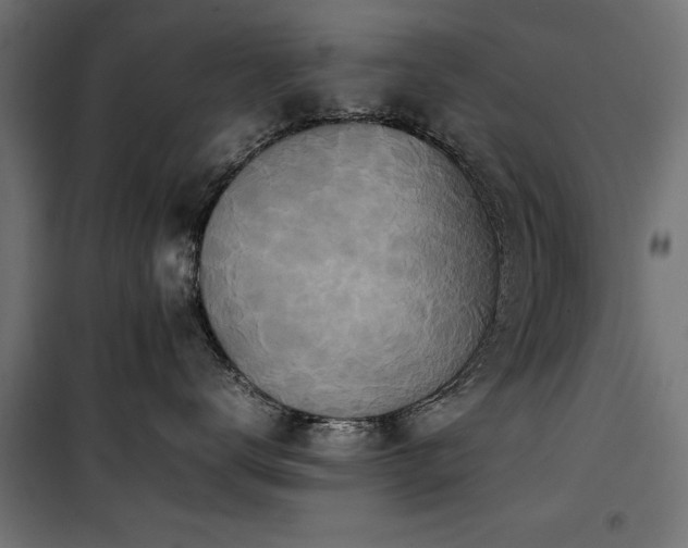 X0000100860672200806201218