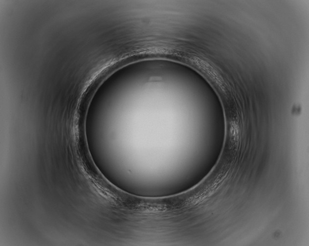 X0000100860676200806201218