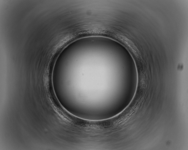 X0000100860677200806201218