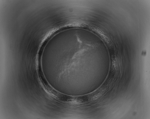 X0000100860678200806201218