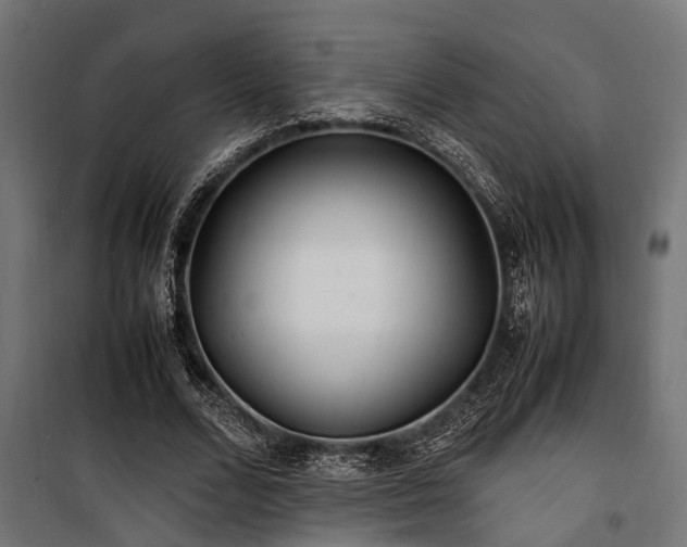 X0000100860680200806201218