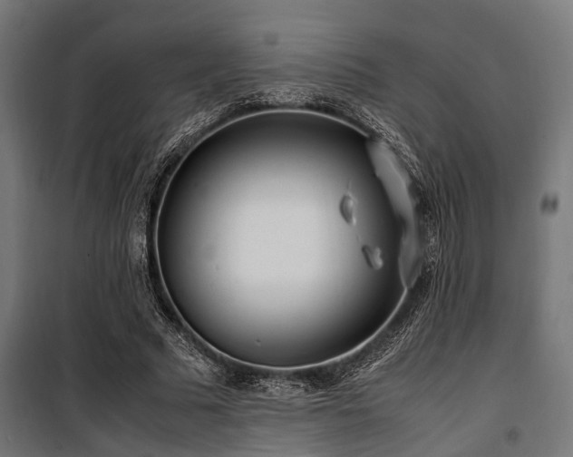 X0000100860681200806201218