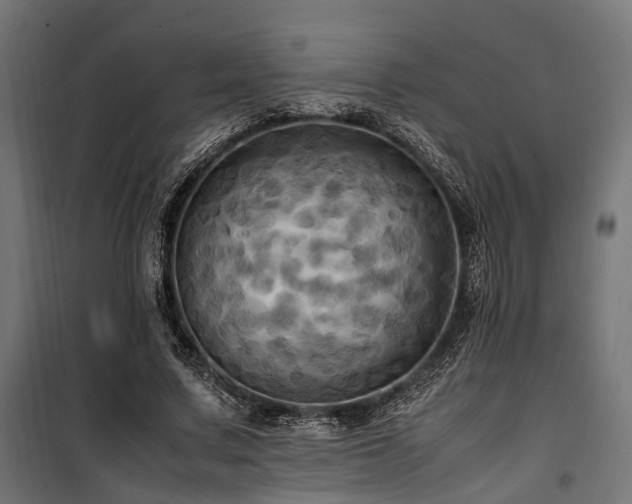 X0000100860683200806201218