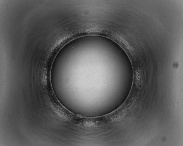 X0000100860684200806201218