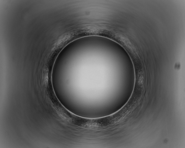 X0000100860685200806201218