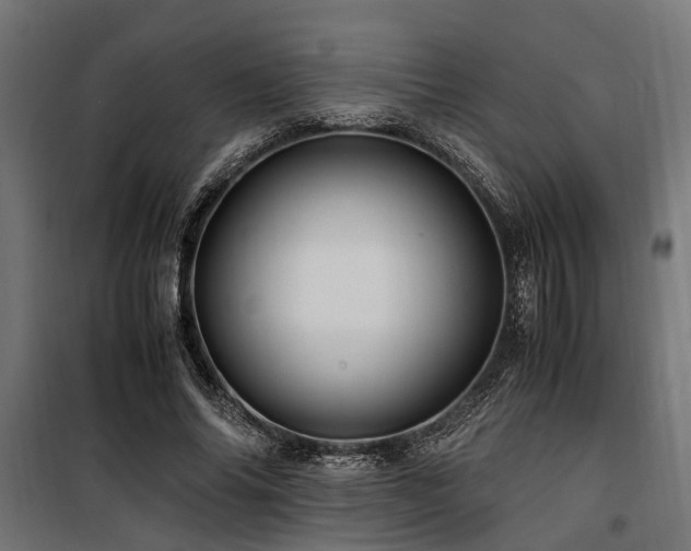 X0000100860686200806201218