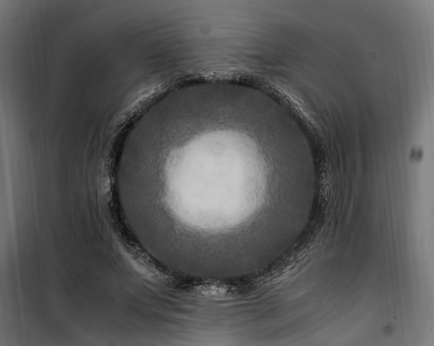 X0000100860687200806201218