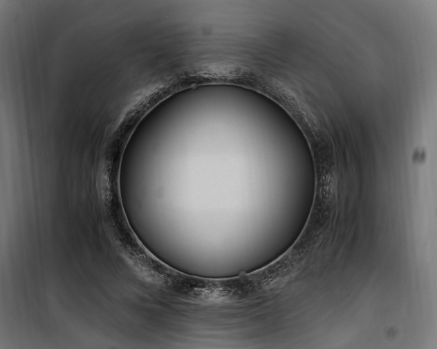 X0000100860688200806201218