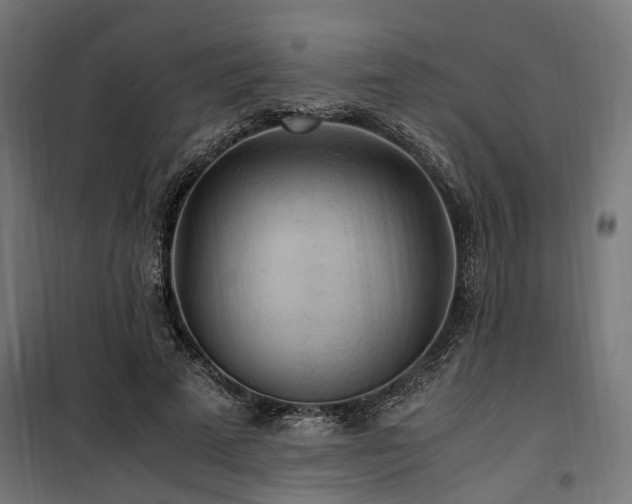 X0000100860689200806201218